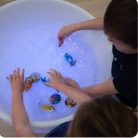 Sensory Mood Water Table
