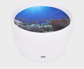 Sensory Mood Discovery Table + Under the Sea Discovery