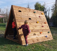 Larger Climbing Wall