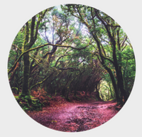 Sensory Mood Discovery Table + Forest Discovery Play Mat