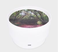 Sensory Mood Discovery Table + 3 Discovery Play Mats