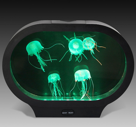 Oval Jellyfish Tank with LED Lights & Fake Jellyfish Relaxing Mood Lamp - SENsory Toys4U